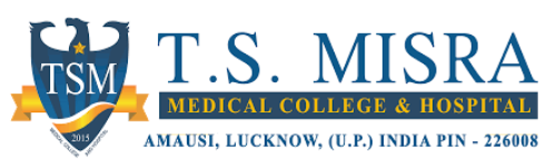 logo - 2025-07-03T164901.957