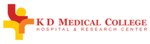 logo - 2025-07-03T171749.690