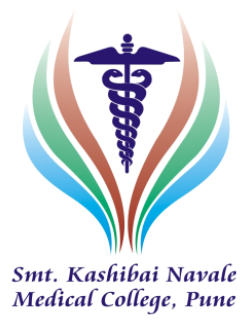 logo - 2025-07-05T141558.127