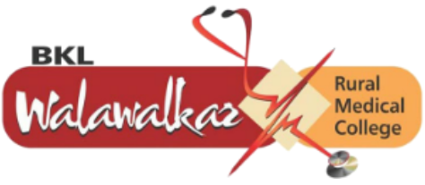 logo - 2025-07-05T142528.974