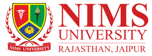 logo - 2025-07-10T162304.040