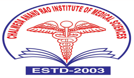 logo - 2025-07-12T164253.570