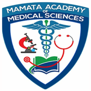 logo - 2025-07-12T165319.930