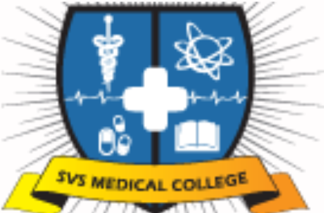 logo - 2025-07-15T143058.738