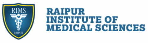 logo - 2025-07-16T155236.903