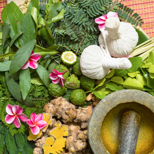 Ayurveda Image