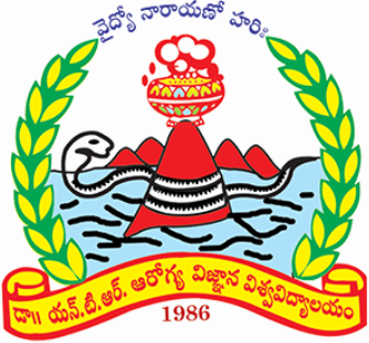 logo - 2025-09-06T163101.381