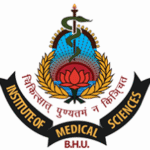 logo - 2025-09-06T171143.686